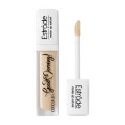 Консилер Estrade Good morning 6мл.
